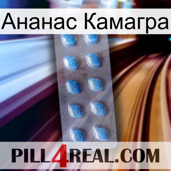 Ананас Камагра viagra3.jpg